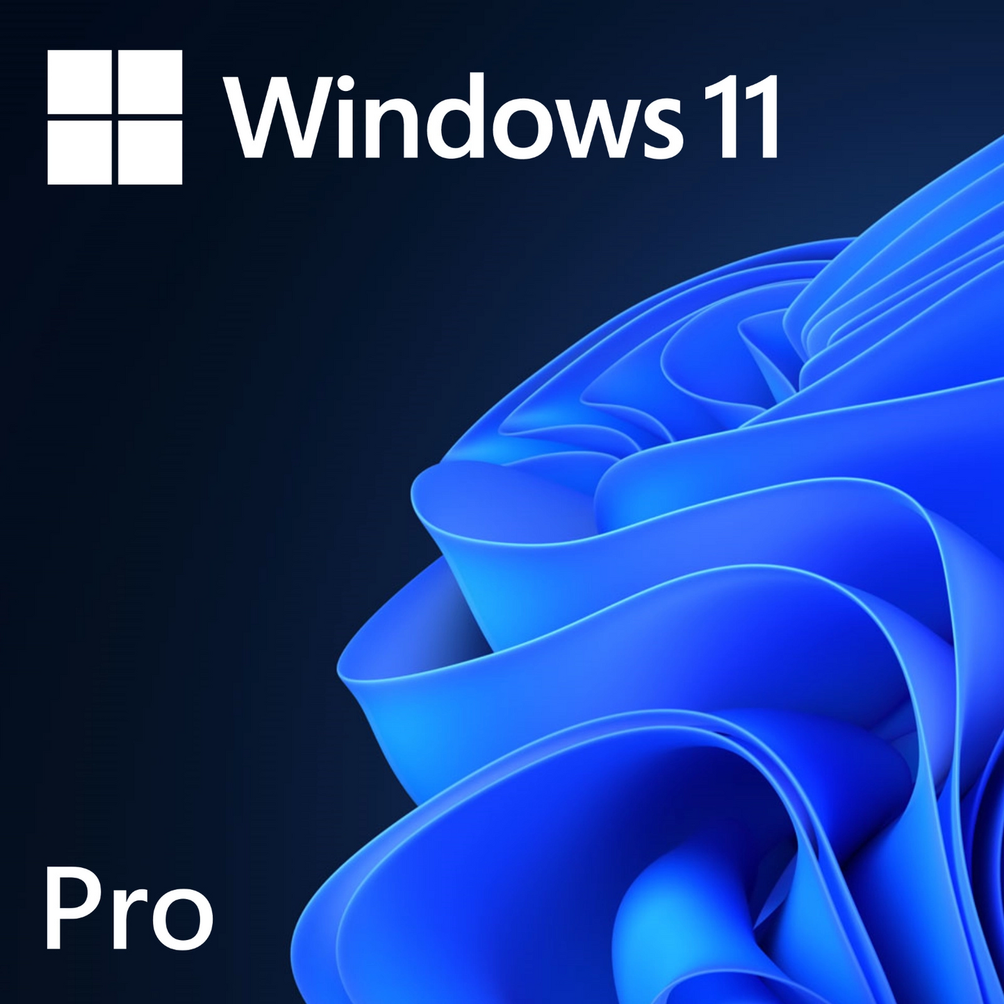 Microsoft Windows 11 Pro 64-bit License - International English (DVD-ROM)